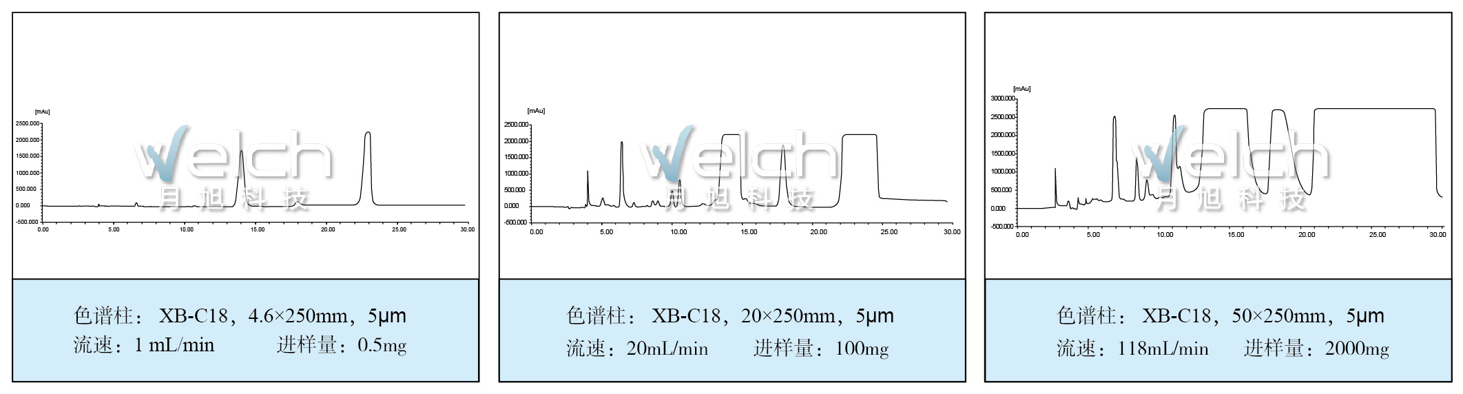 表格_畫板 7.jpg