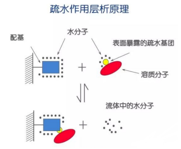 微信截圖_20220624151741.png